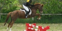 Train Ease Jump Stands